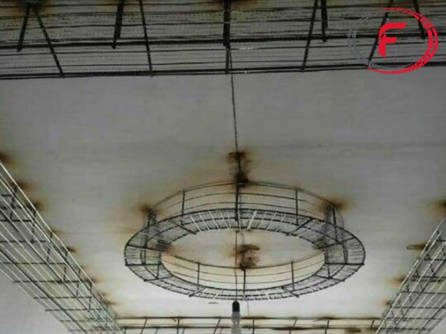 رابیتس بندی وجوشکاری وخرده کاری|خدمات پیشه و مهارت|تربت جام, کلالی|دیوار