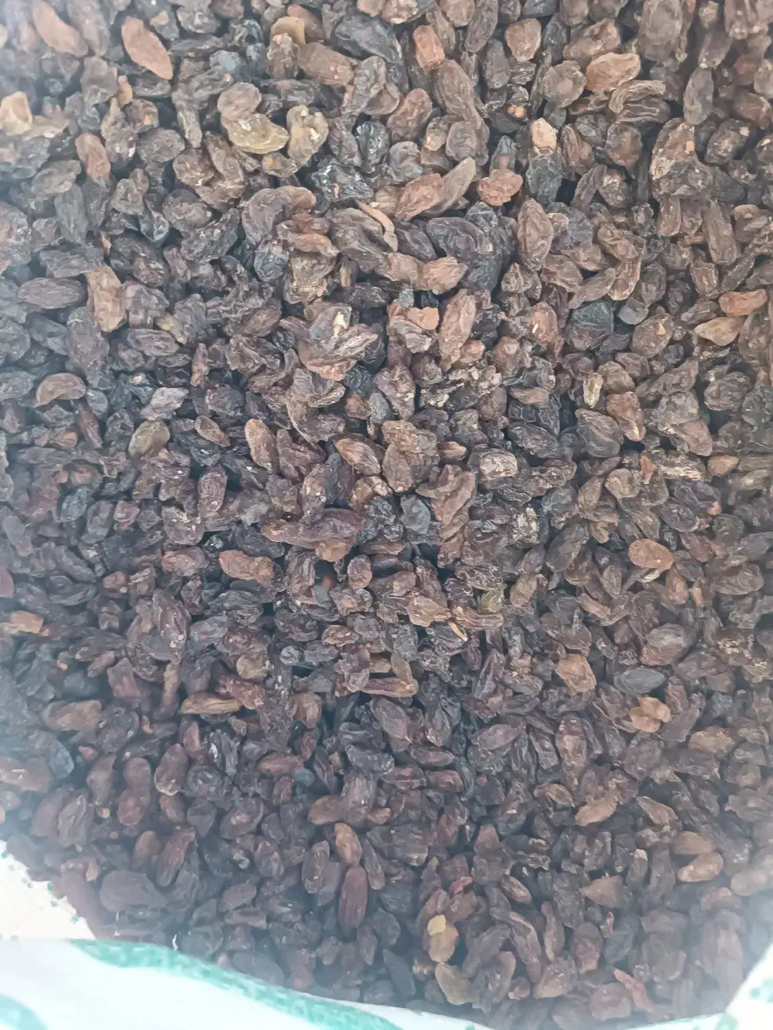 آفتابی کاشمر|خوردنی و آشامیدنی|کاشان, دانش|دیوار