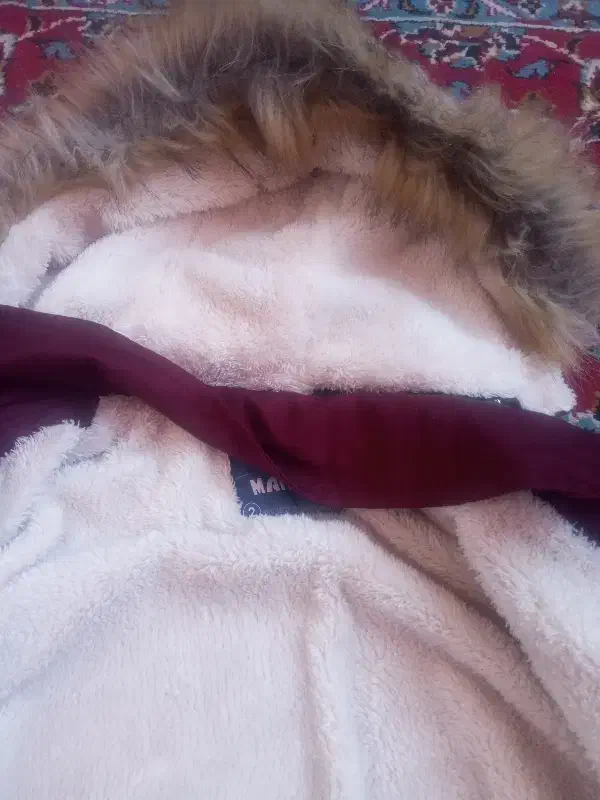 کاپشن کلاه دار|لباس|مراغه, |دیوار