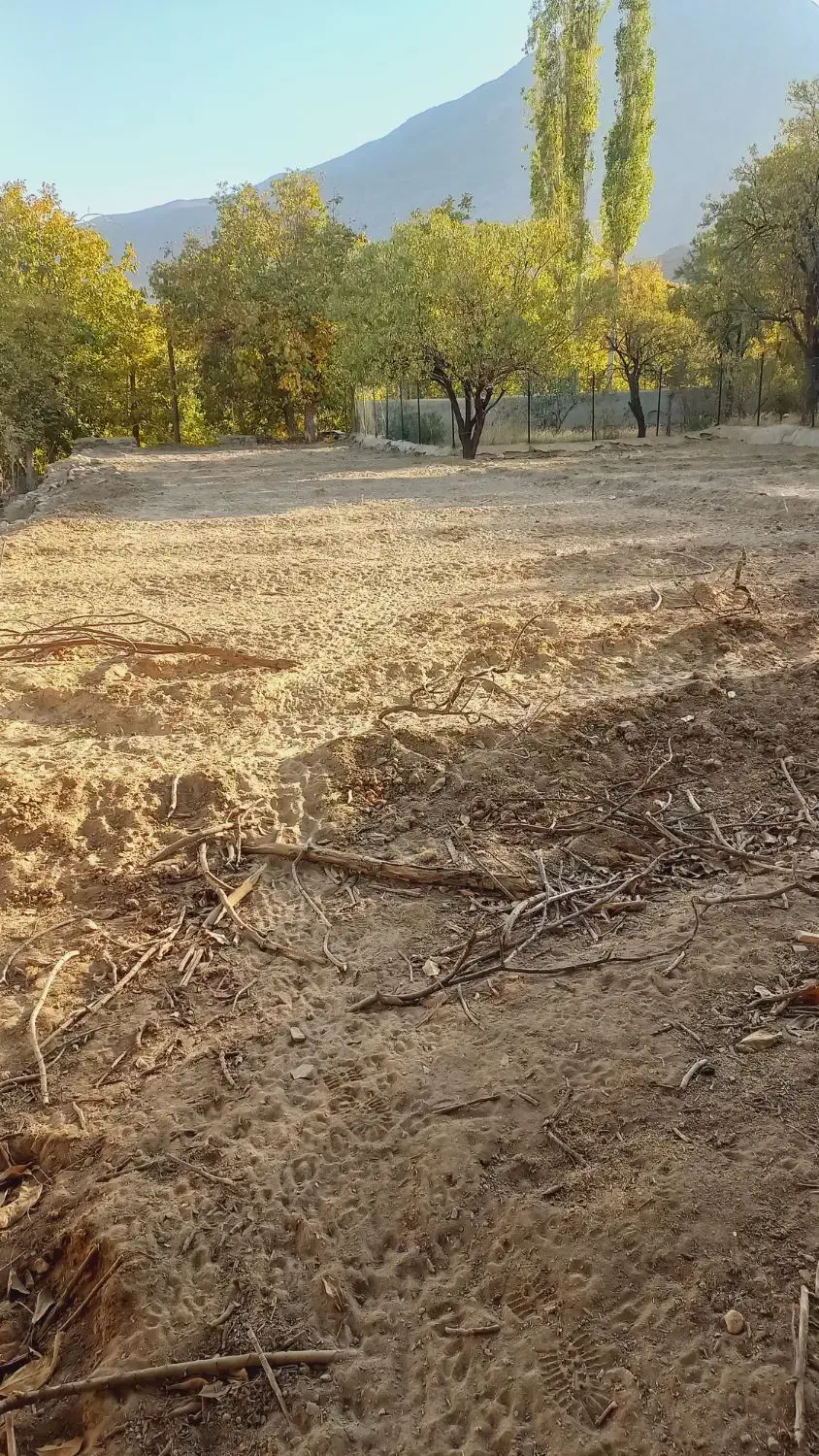 زمین باغ بر جاده|فروش زمین و ملک کلنگی|برزک, |دیوار
