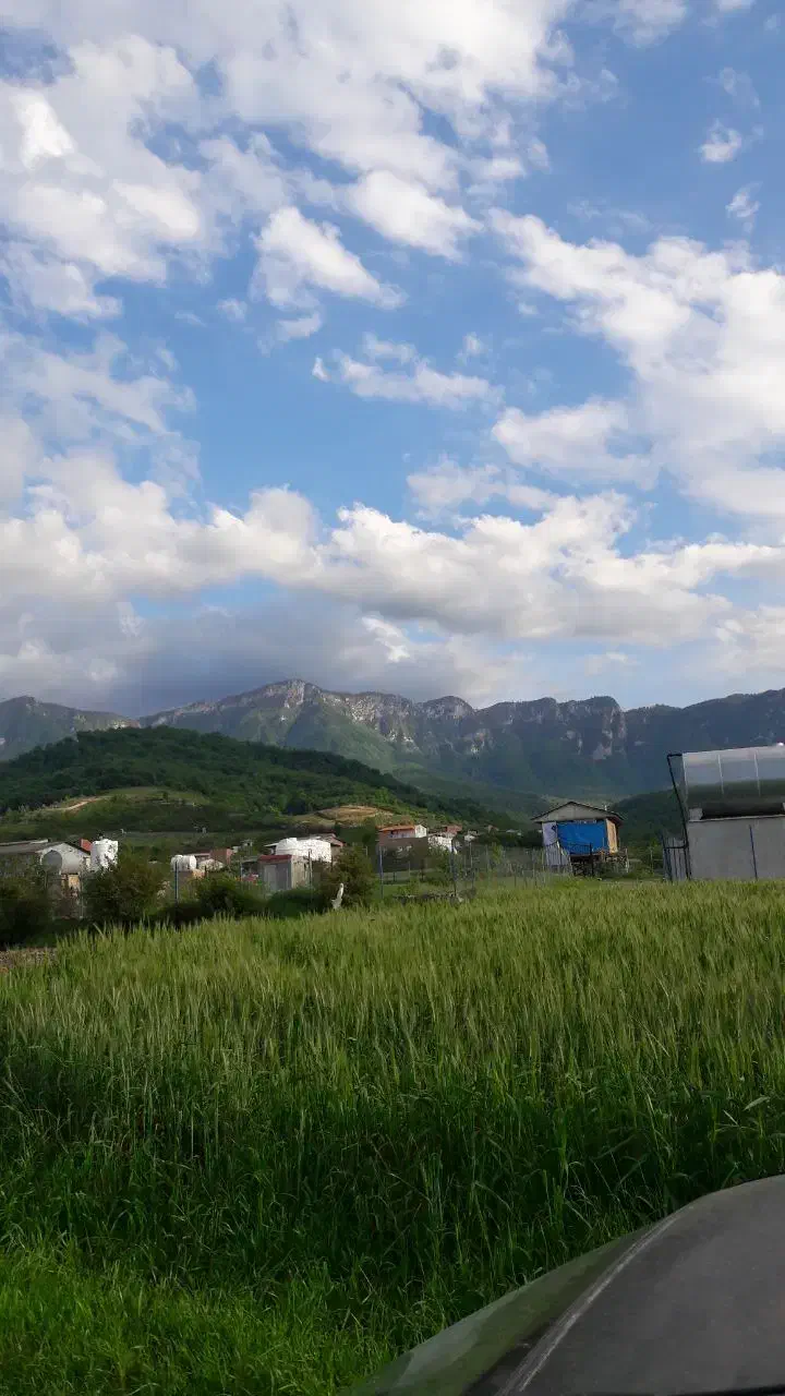 باغ آماده ۵۷۴ متر شموشک بالا(قیمت مناسب)|فروش زمین و ملک کلنگی|گرگان, |دیوار