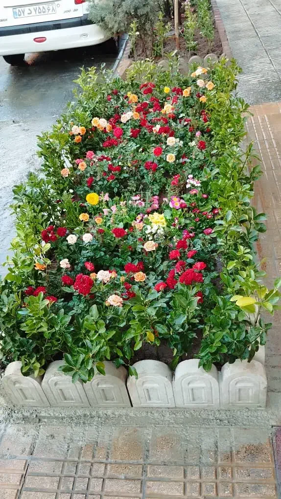 خدمات باغبانی هرسکاری گل کاری درتمام نقاط تهران و.|خدمات باغبانی و درختکاری|تهران, نارمک|دیوار