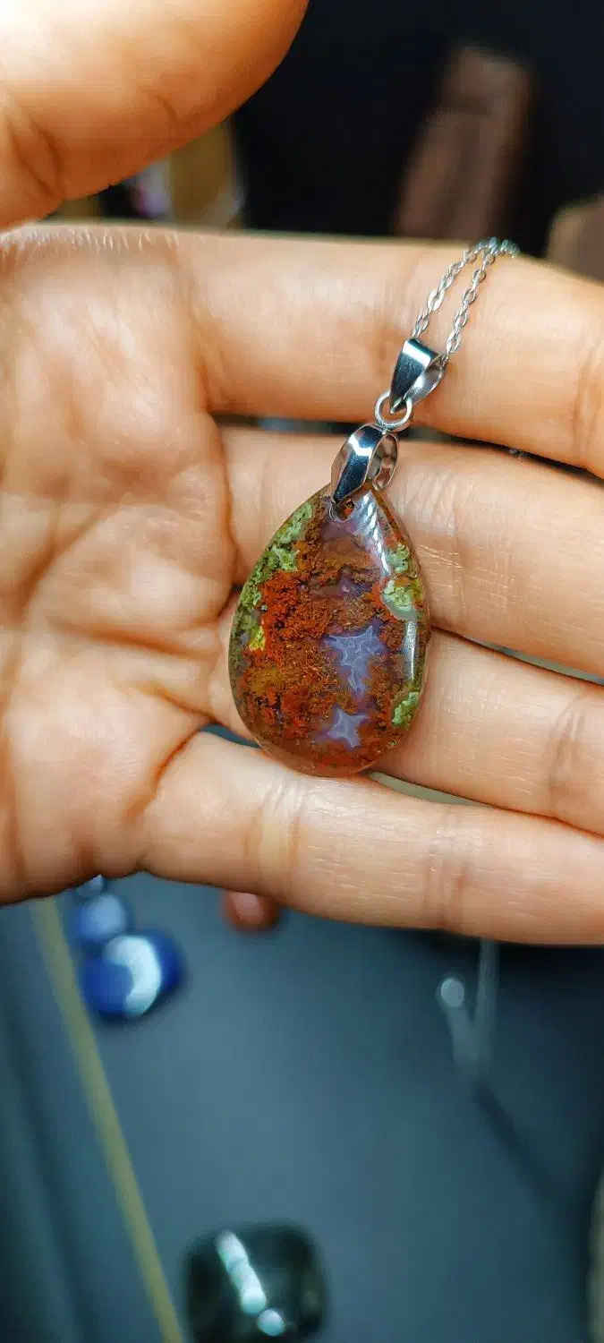 پلاک شجر|بدلیجات|لاهیجان, شیخ زاهد|دیوار