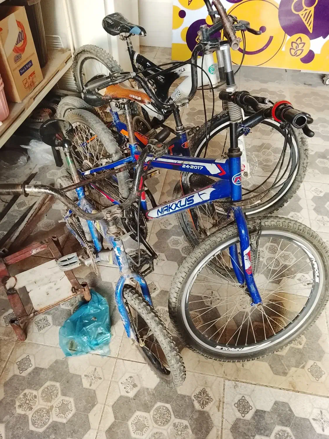 چهار عدد دوچرخه|دوچرخه، اسکیت، اسکوتر|گنبد کاووس, |دیوار