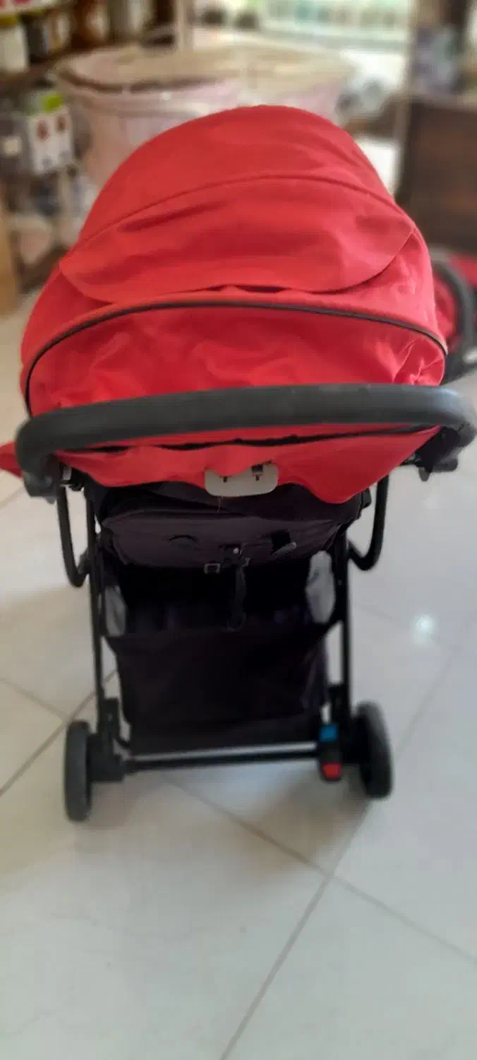 کالسکه، صندلی غذاخوری،کریر ، تخت موزیکال کنار مادر|کالسکه و لوازم جانبی|رشت, کاکتوس|دیوار