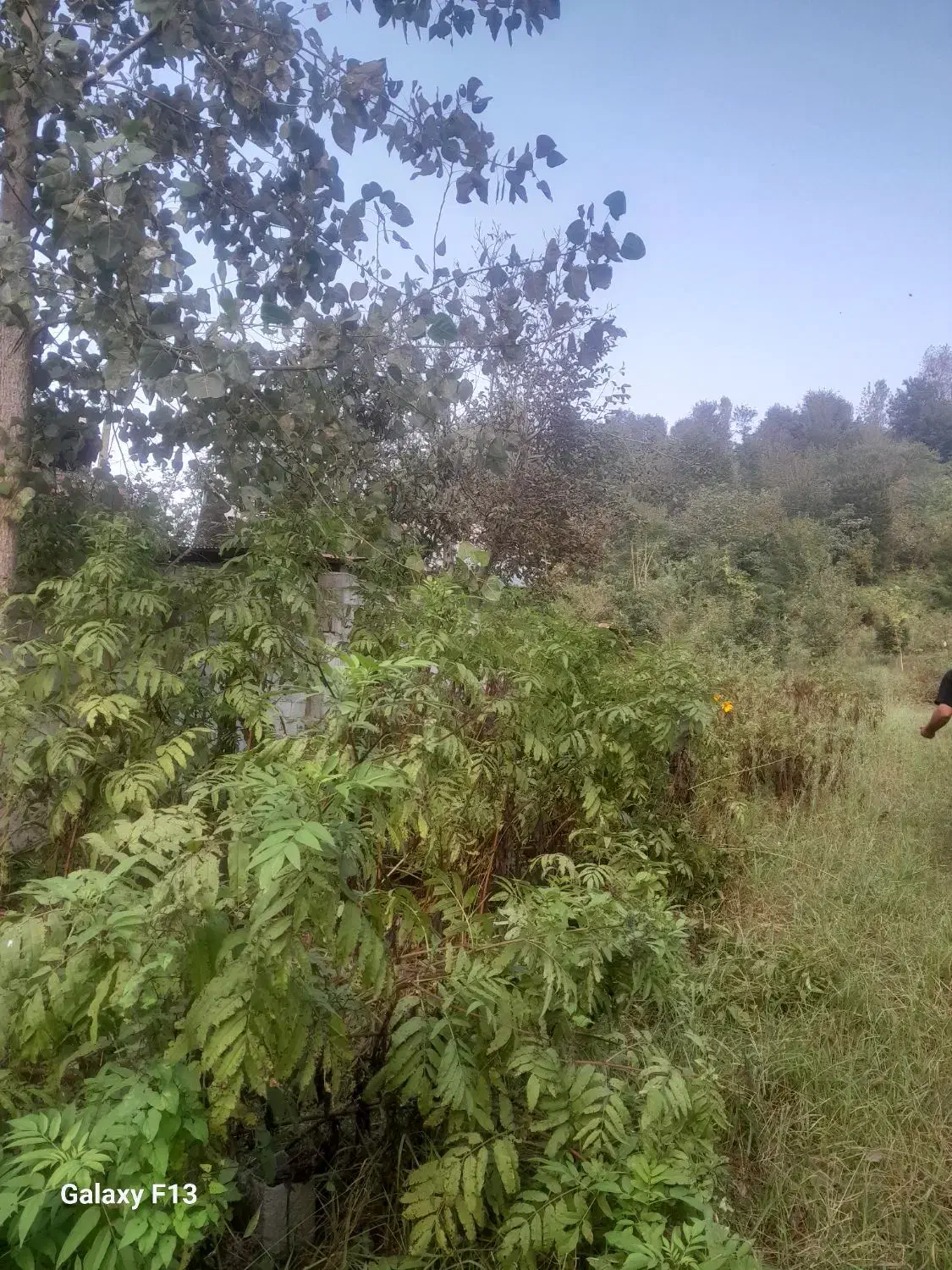 فروش۲۸۰۰متر زمین/کاربری مسکونی/اطاقور/ویو دار|فروش زمین و ملک کلنگی|اطاقور, |دیوار