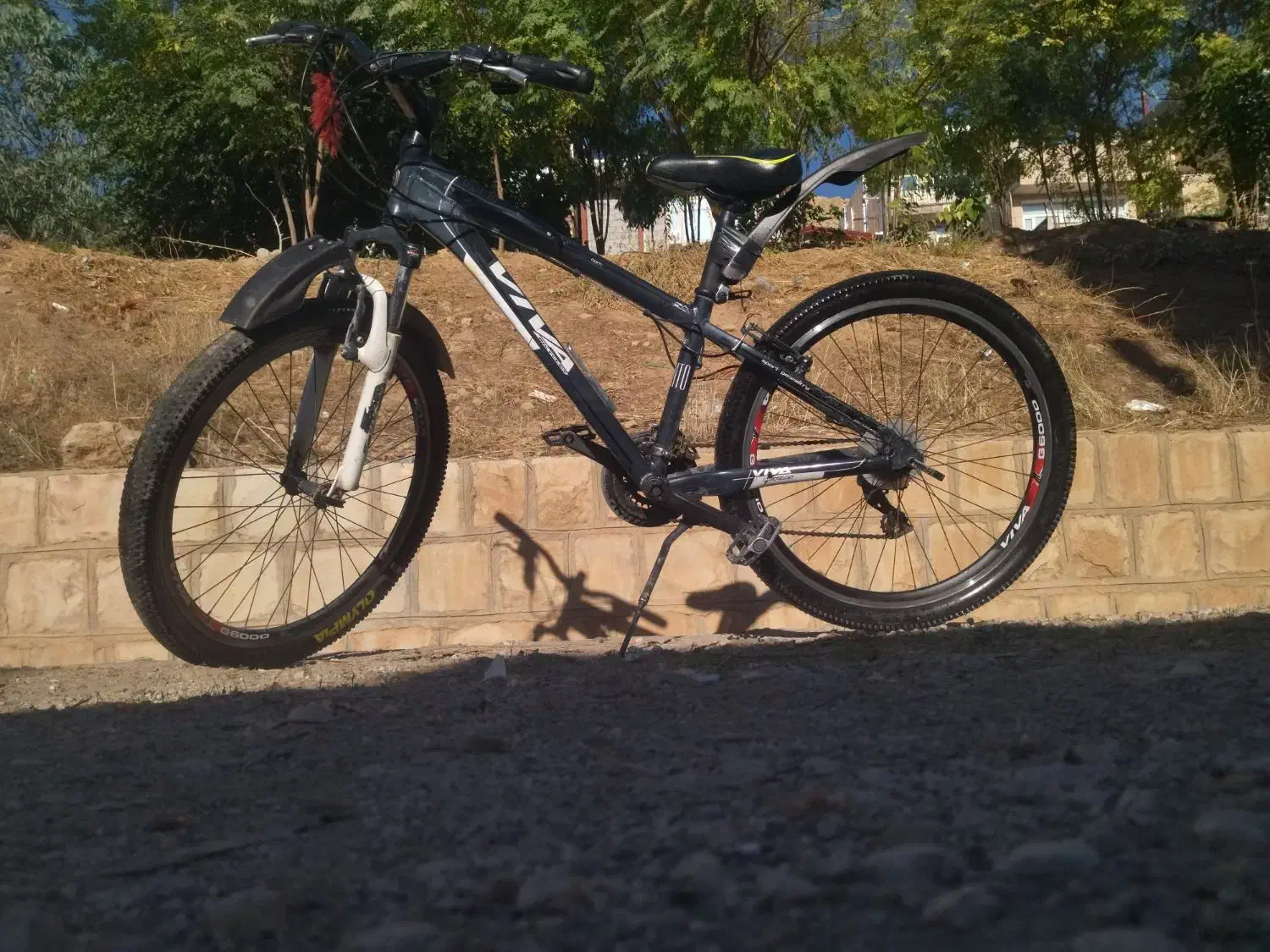 دوچرخه ویوا|دوچرخه، اسکیت، اسکوتر|سرپل ذهاب, |دیوار