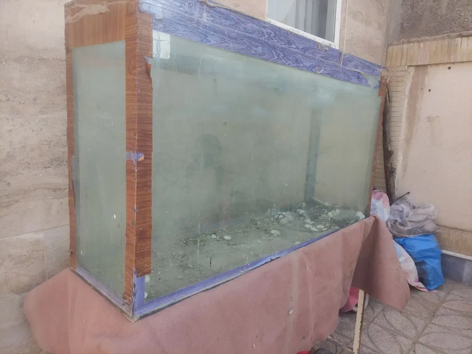 آکواریوم با چهارپایه فروشی|ماهی|بیرجند, |دیوار