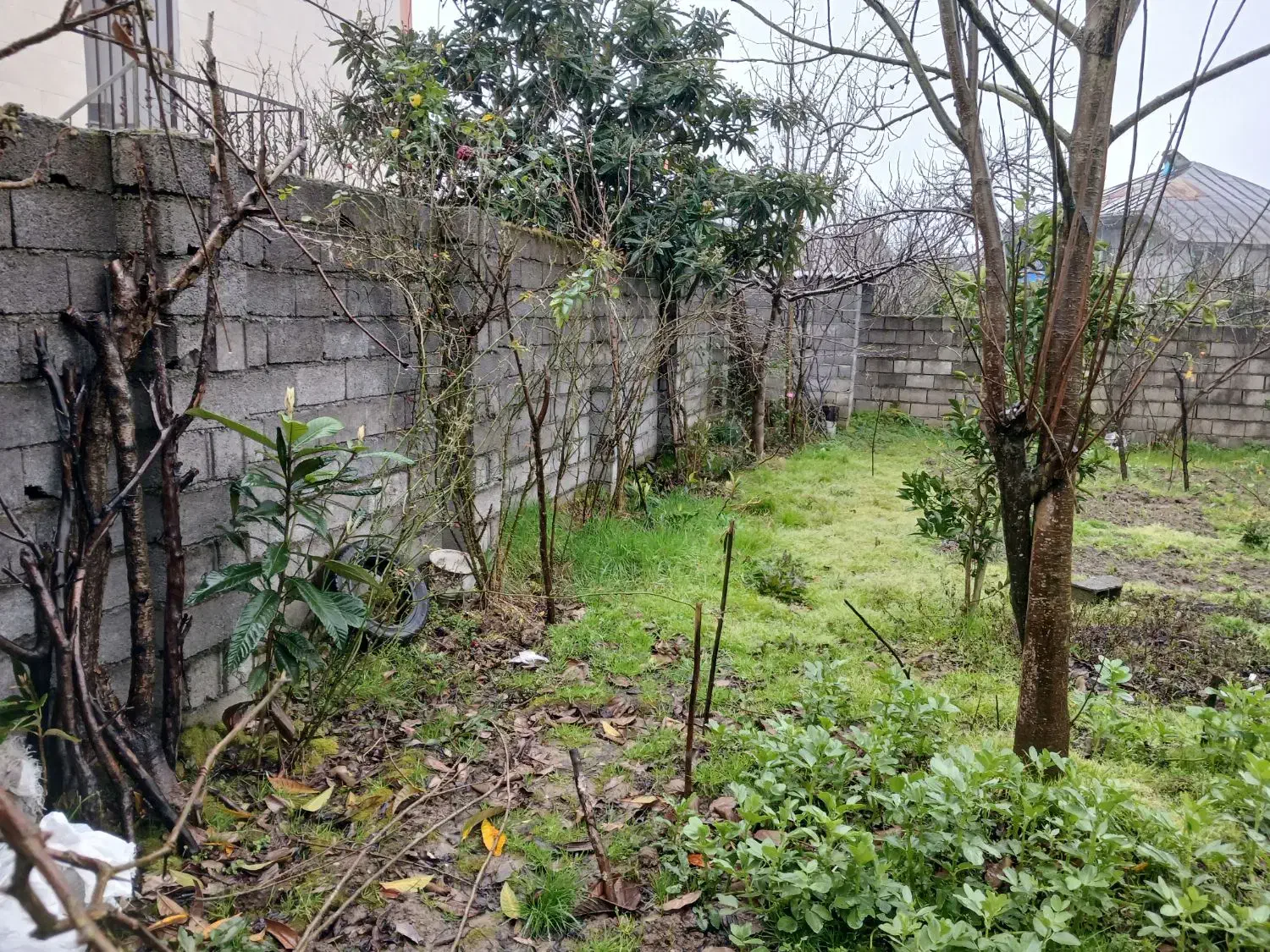 زمین با کاربری مسکونی|فروش زمین و ملک کلنگی|رودبنه, |دیوار