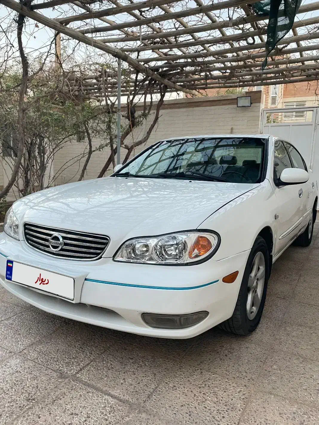 ماکسیما ۸۲|خودرو سواری و وانت|یزد, |دیوار