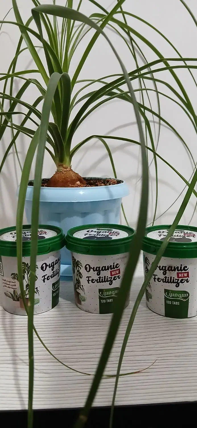 قرص کود ارگانیک|گل و گیاه طبیعی|ابهر, |دیوار