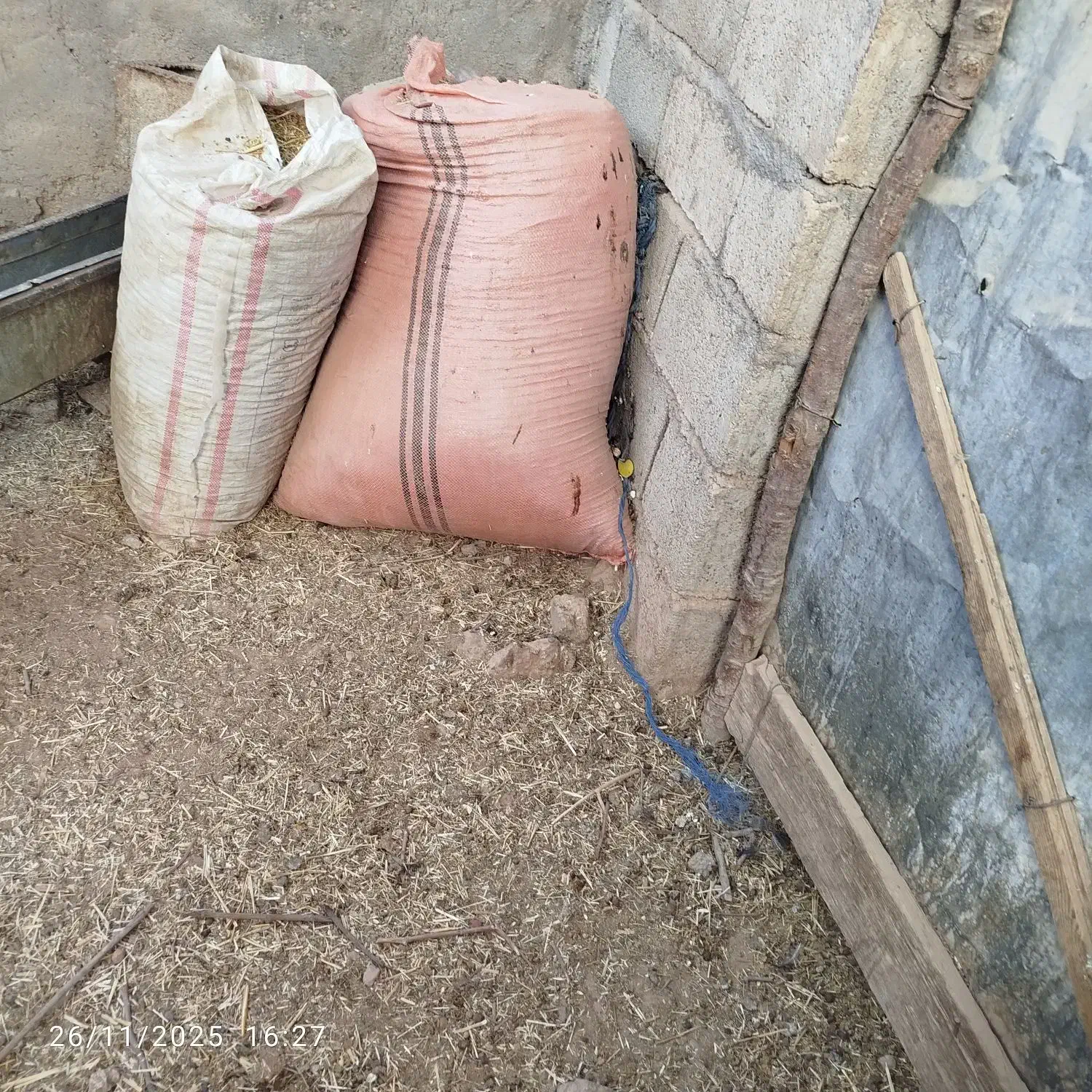 کود گوسفند رایگان|گل و گیاه طبیعی|مسجد سلیمان, |دیوار