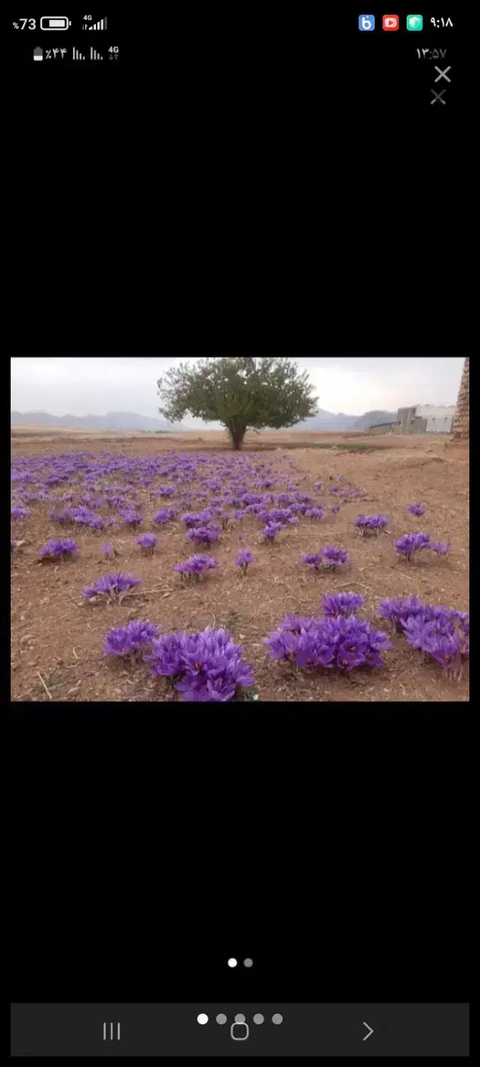 خدمات کشاورزی|خدمات باغبانی و درختکاری|خرم‌آباد, |دیوار