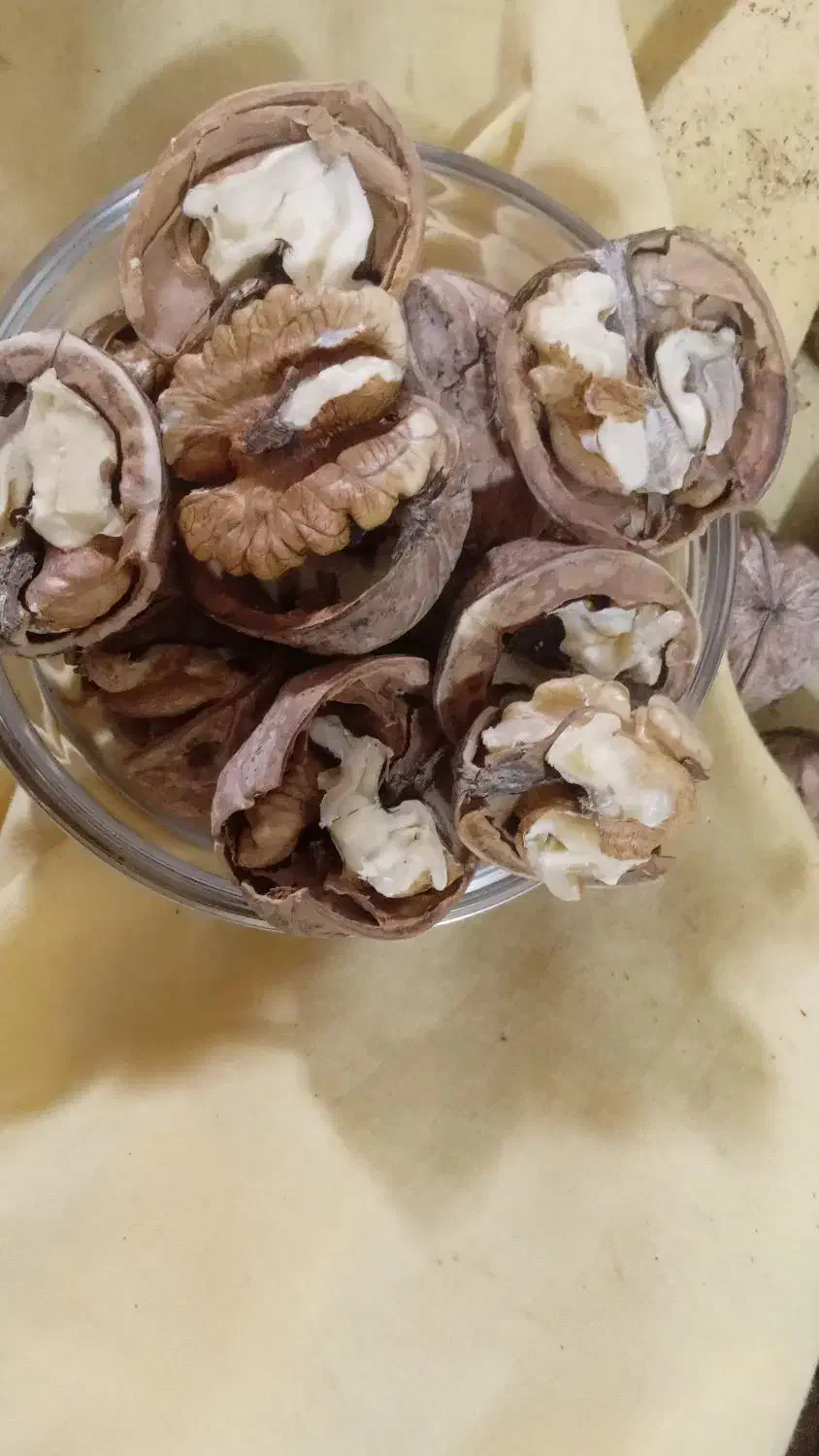 گردو محلی|خوردنی و آشامیدنی|کیش, |دیوار