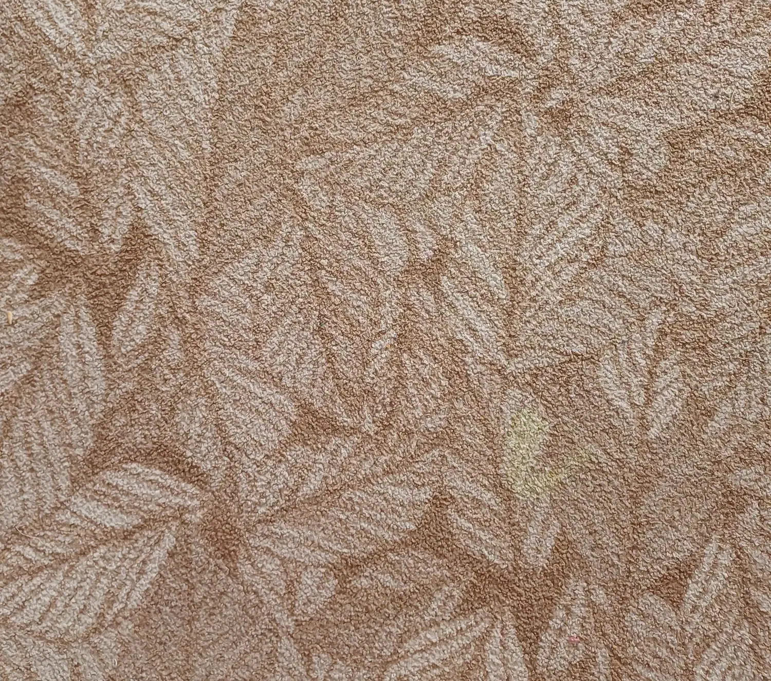 فروش موکت فقط  ۱ میلیون|موکت|نظرآباد, نظرآباد|دیوار