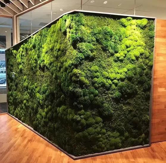 طراحی و اجرای ماس وال دیوار خزه‌ای|گل و گیاه طبیعی|کرج, حصارک بالا|دیوار