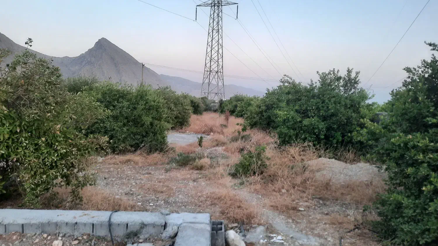 فروش باغ تلخاب|فروش دفتر صنعتی، کشاورزی، تجاری|دوگنبدان, |دیوار