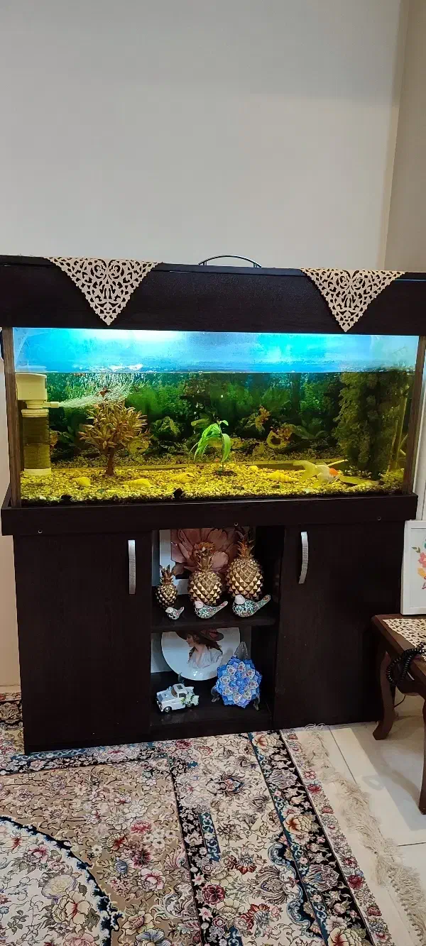 آکواریوم کامل|ماهیگیری|تهران, نظام‌آباد|دیوار