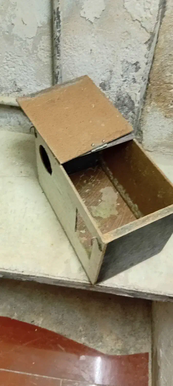 قفس وآغول|لوازم جانبی حیوانات|قوچان, |دیوار