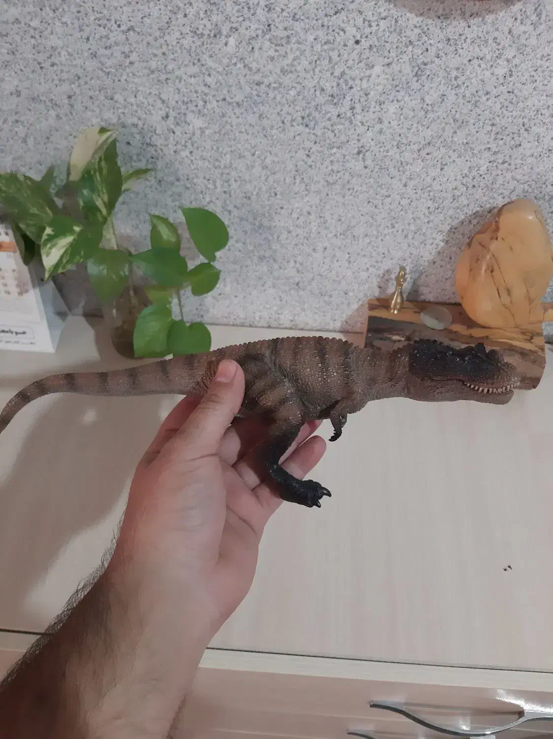 فیگور دایناسور|اسباب‌‌بازی|قائم‌شهر, |دیوار