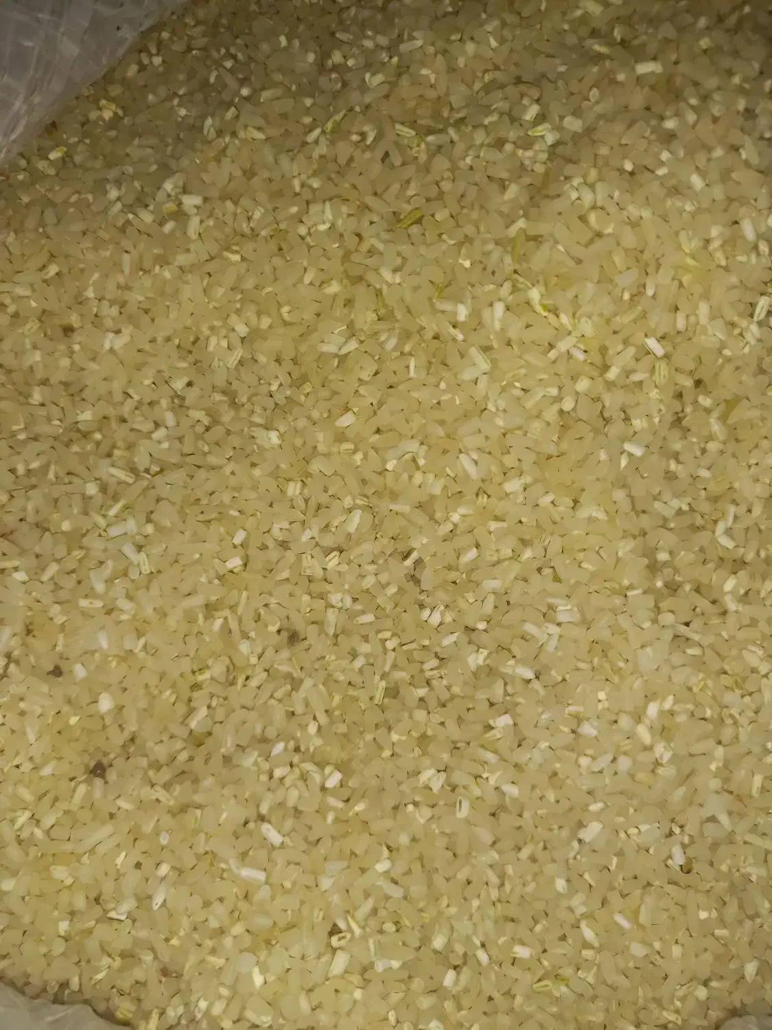 فروش برنج طارم هاشمی دو نوج|خوردنی و آشامیدنی|نکا, |دیوار