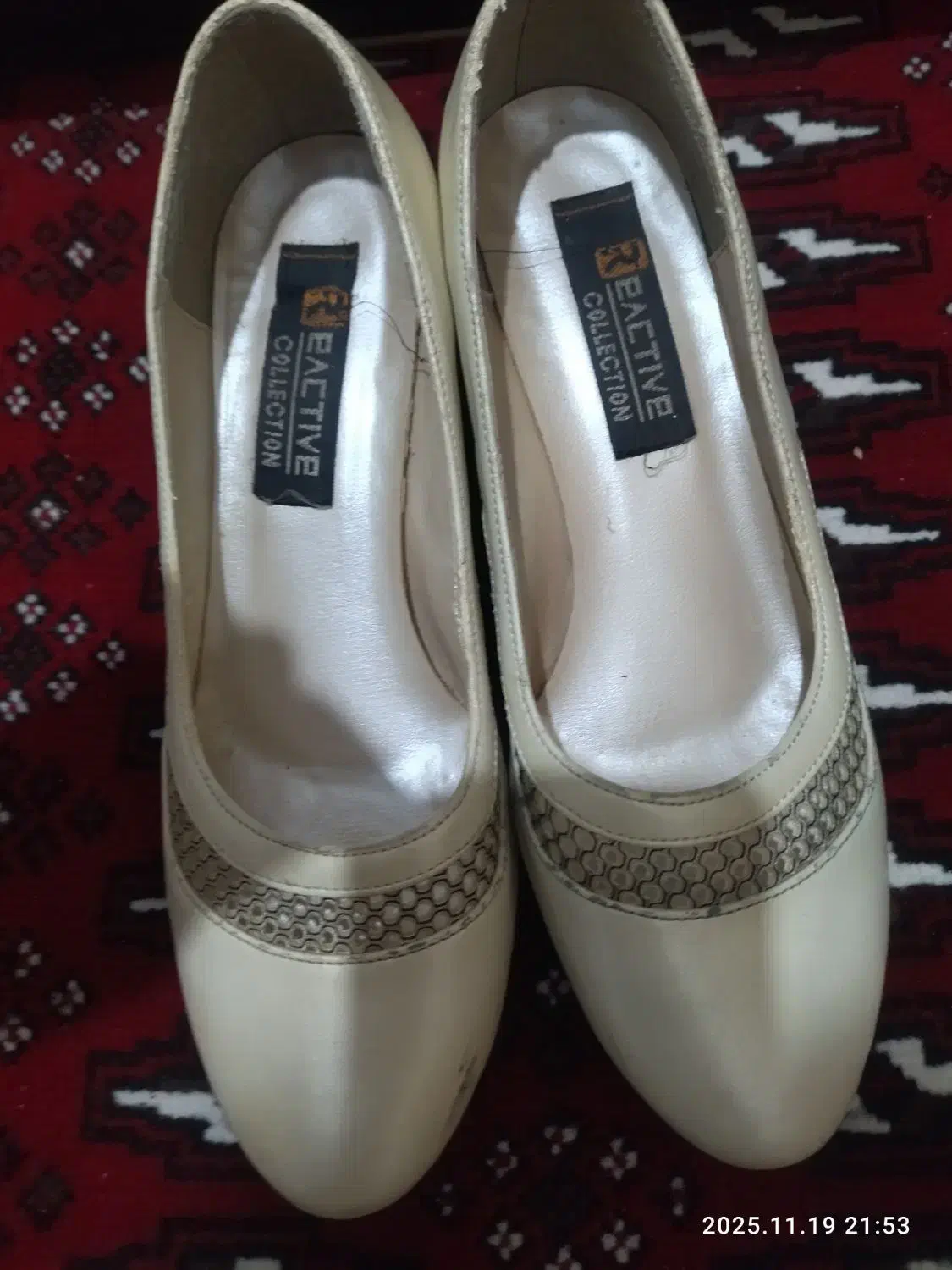 کفش مجلسی|کیف، کفش، کمربند|سبزوار, غرب نیروگاه|دیوار