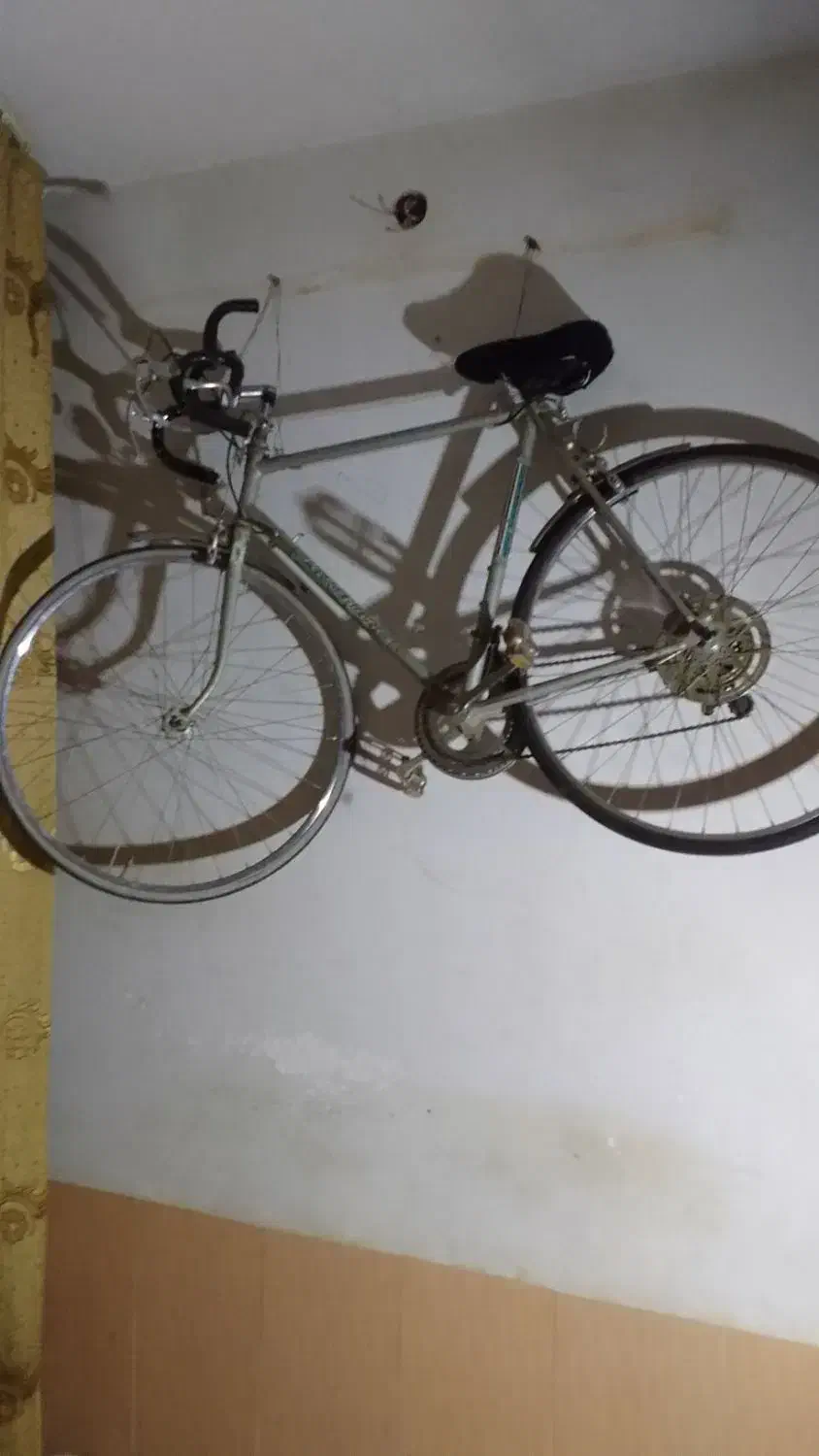 دوچرخه|دوچرخه، اسکیت، اسکوتر|مشهد, شهید آوینی|دیوار