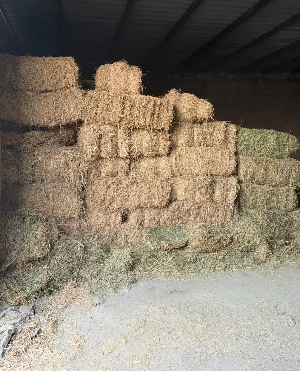 یونجه و علوفه دام|لوازم جانبی حیوانات|ورامین, خیر آباد|دیوار