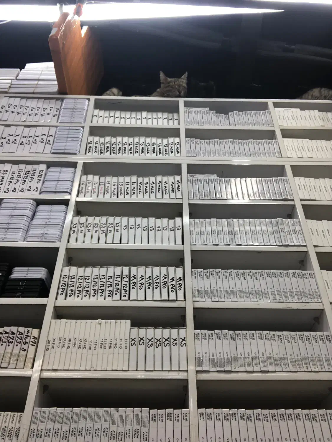 پخش عمده ال سی دی تلفن همراه|لوازم جانبی موبایل و تبلت|تهران, شیخ هادی|دیوار