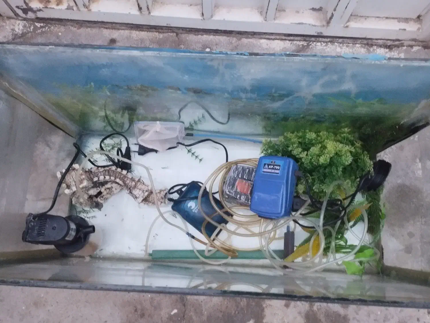 آکواریوم شرکتی و بزرگ|ماهی|دشتابی, |دیوار