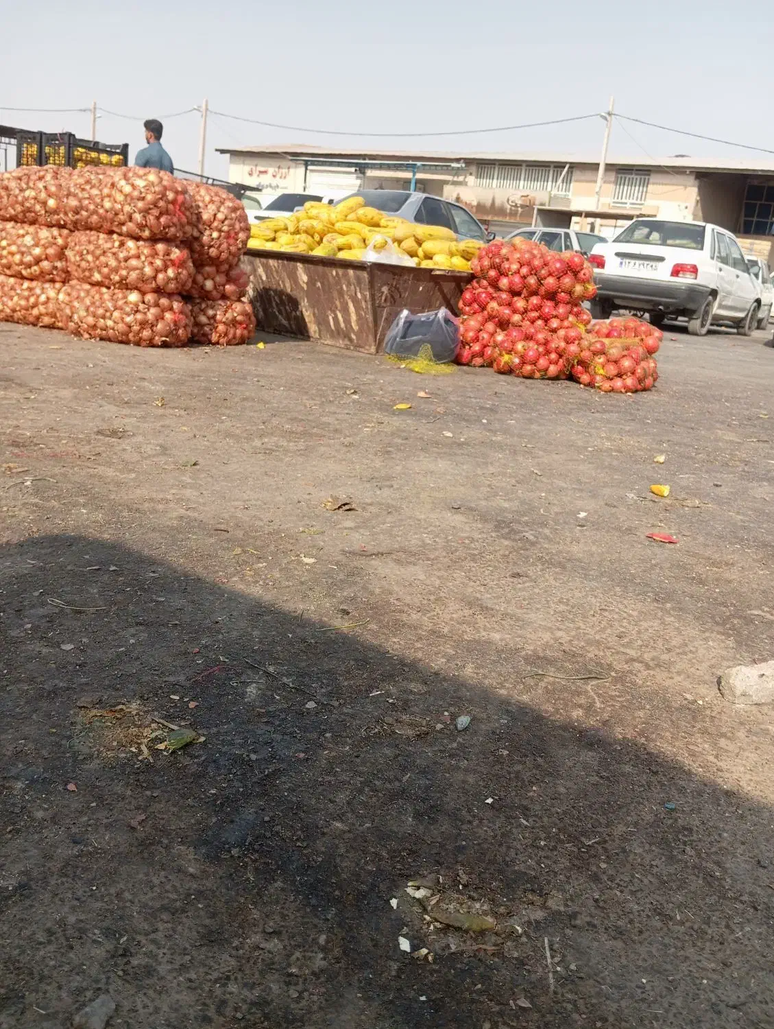 اجتماعی|فعالیت داوطلبانه تحقیقاتی|زابل, |دیوار