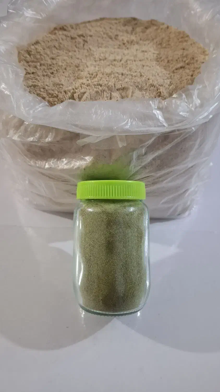 پودرسنجد و کاکوتی  کاملا طبیعی|خوردنی و آشامیدنی|خواجه, |دیوار