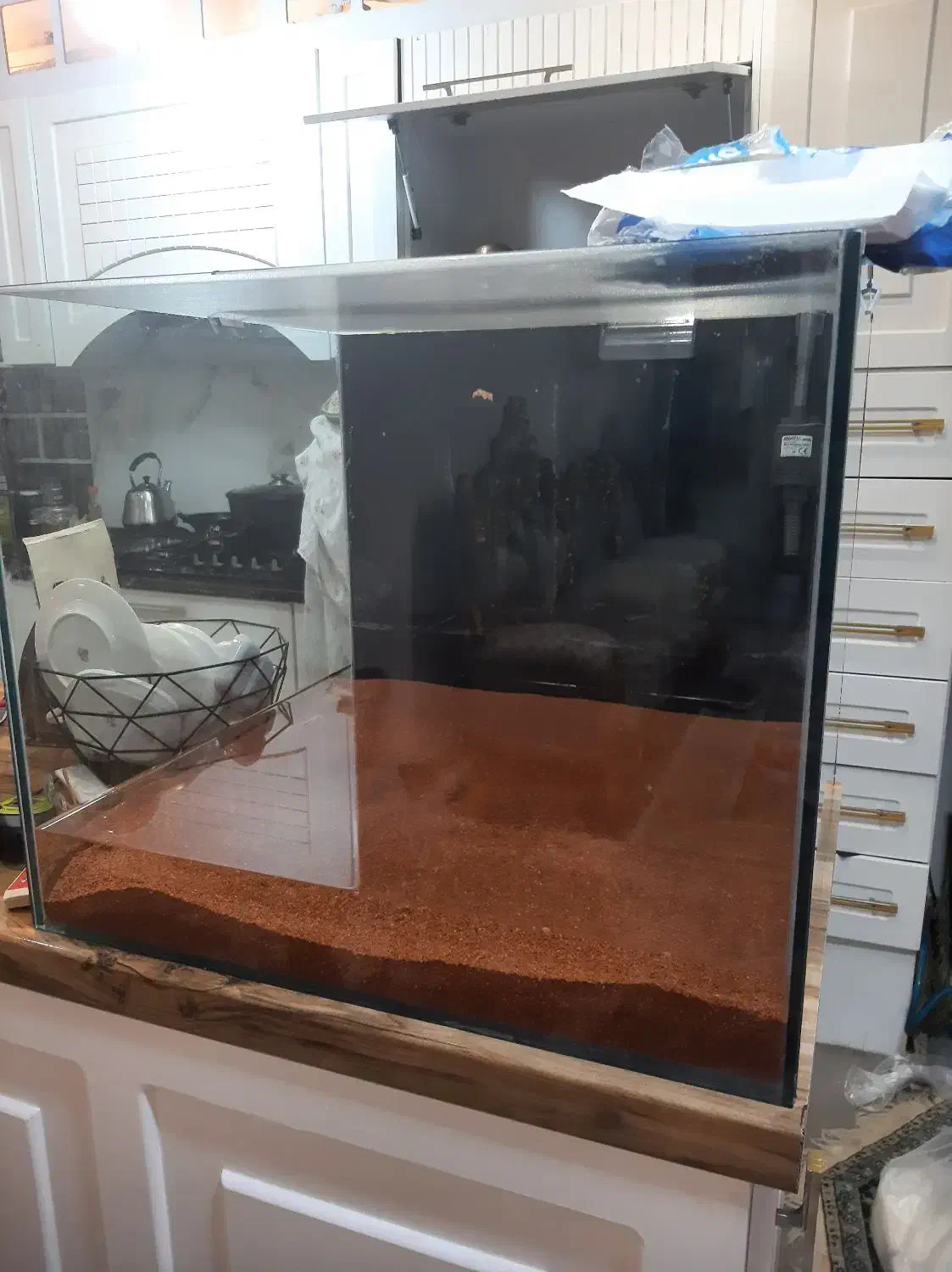 آکواریوم فروشی|ماهی|بندرعباس, |دیوار