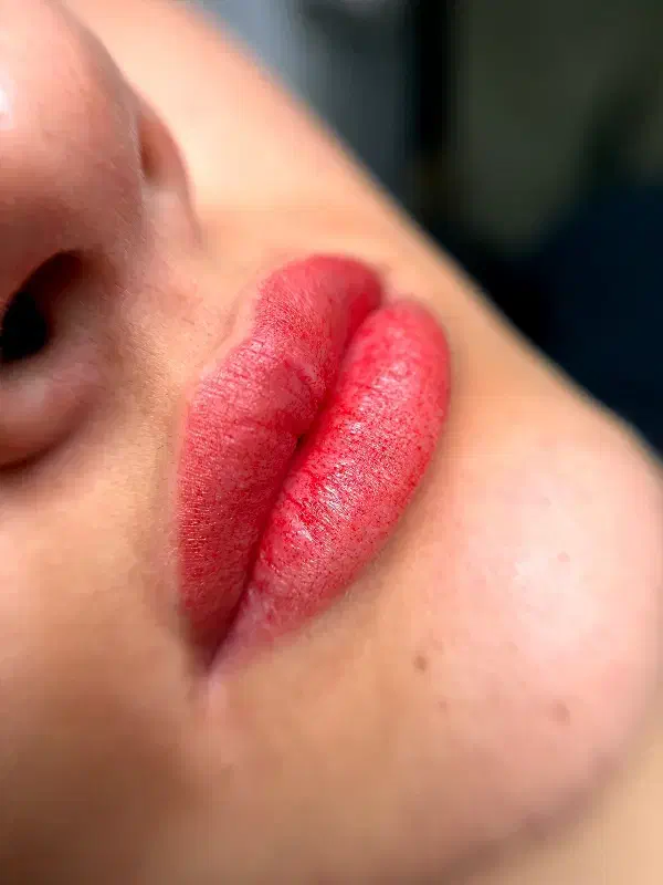 مدل میکروبلیدینگ و شیدینگ لب|خدمات آرایشگری و زیبایی|لاهیجان, مهرگان|دیوار