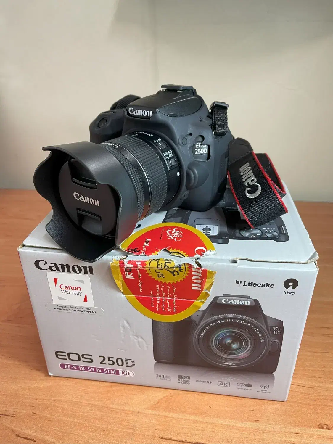 دوربینcanon 250d همراه با لوازم جانبی مورد نیاز|دوربین عکاسی و فیلمبرداری|تهران, میدان ولیعصر|دیوار