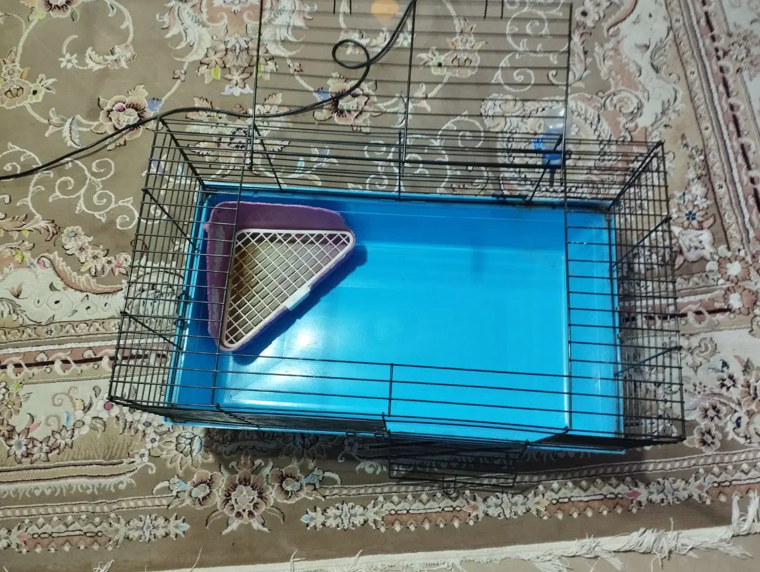 قفس خرگوش|لوازم جانبی حیوانات|شاهینشهر, شهرک مطهری|دیوار