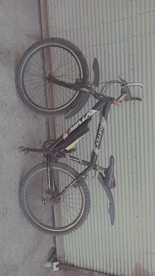 دوچرخه اصل ویوا 26|دوچرخه، اسکیت، اسکوتر|باسمنج, |دیوار