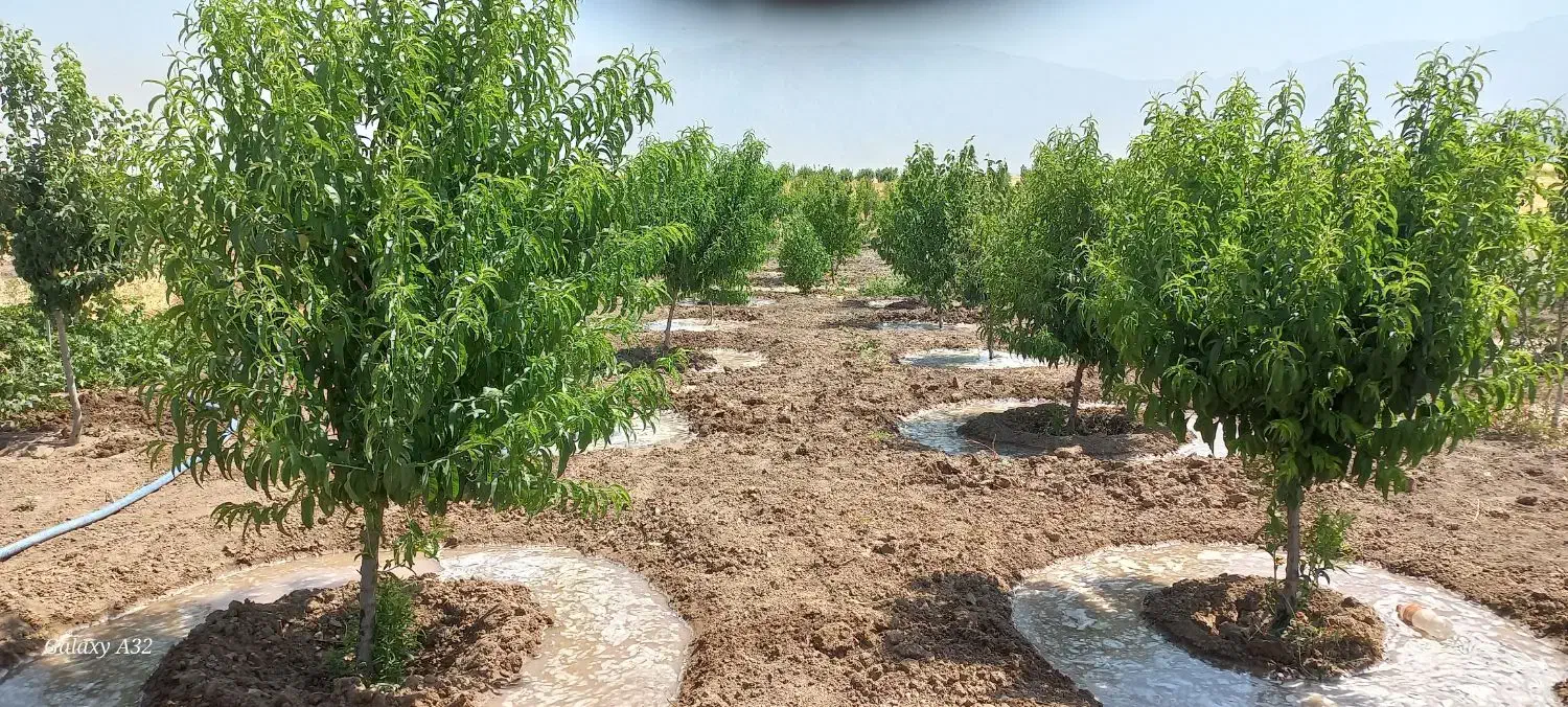 اجاره تانکر آب حمل آب آبرسانی سیار ابرسان|خدمات حمل و نقل|کرمانشاه, |دیوار