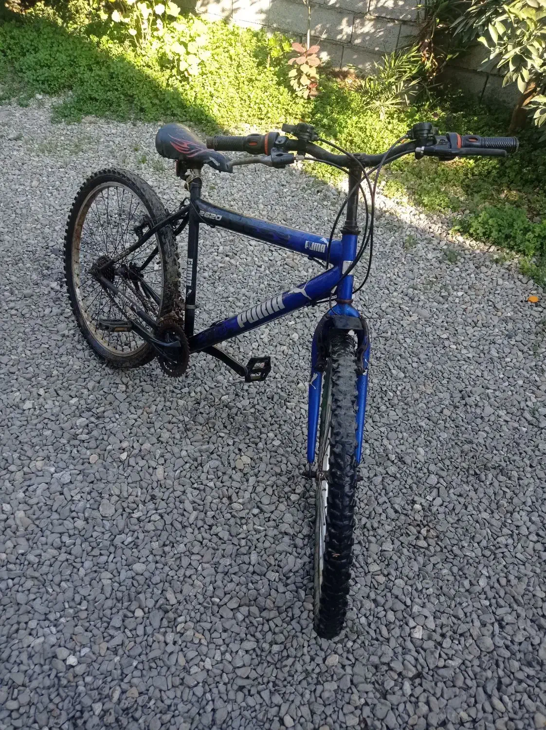 دوچرخه 24 بفروش میرسد|دوچرخه، اسکیت، اسکوتر|آمل, |دیوار