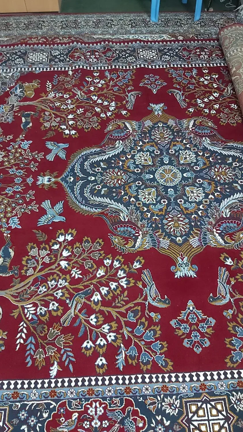 فرش ۱۲ متری|فرش|شوشتر, |دیوار