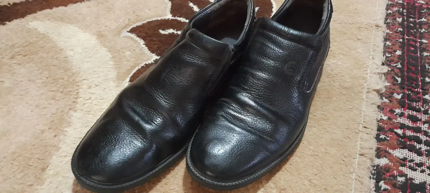 کفش اداری مجلسی چرم خالص|کیف، کفش، کمربند|اهواز, ملاشیه|دیوار