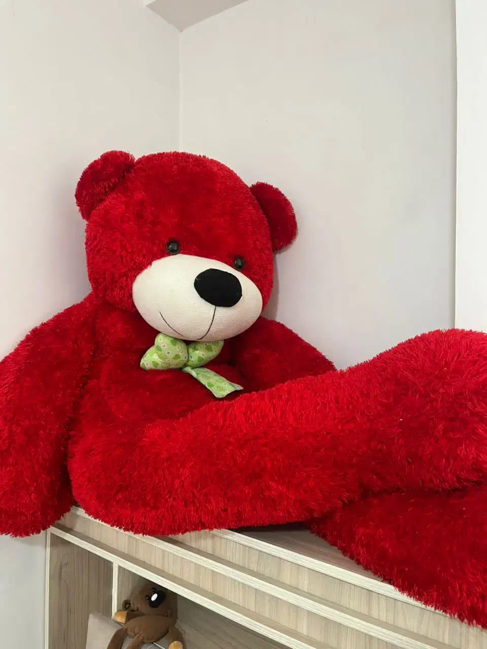 خرس تدی|اسباب‌بازی بچه|زاهدان, |دیوار