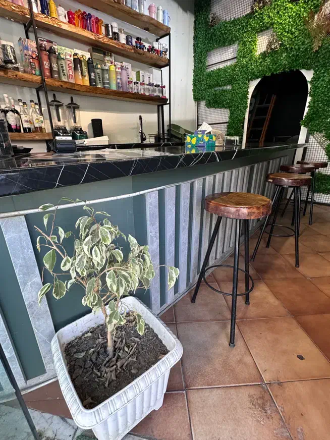 صندلی اوپنی|صندلی و نیمکت|کرج, گوهردشت|دیوار