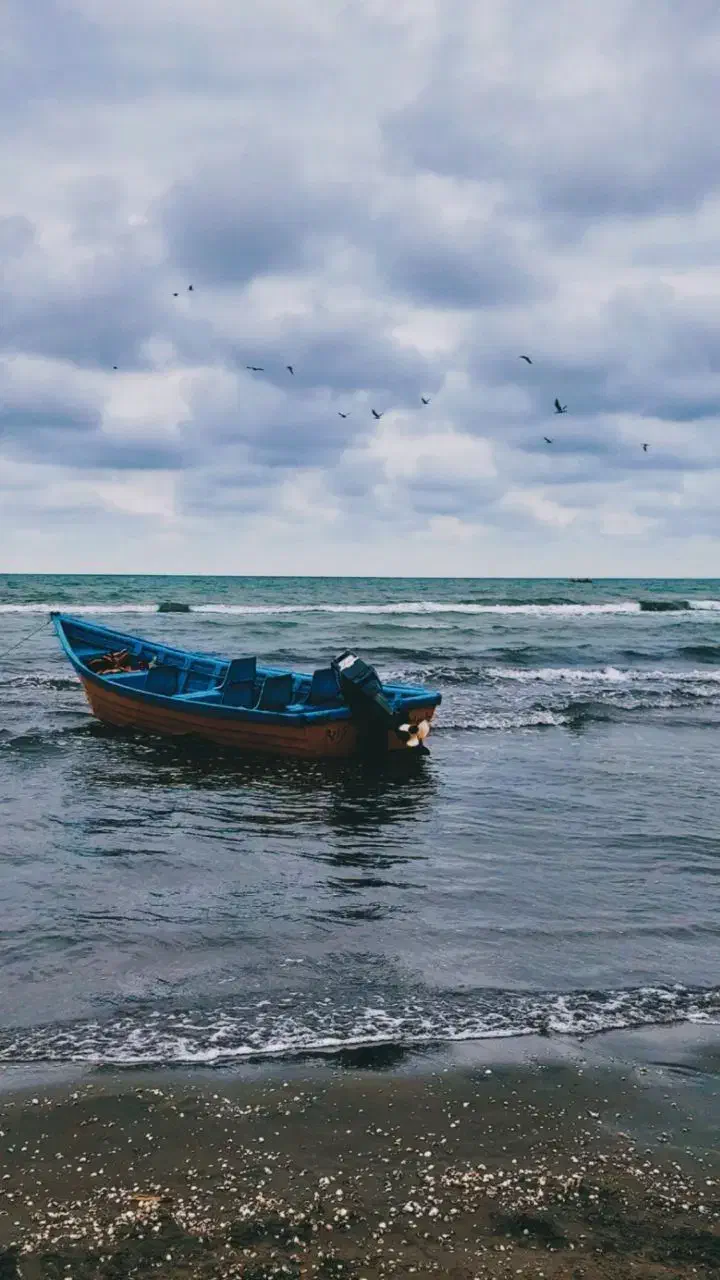 امشب حرکت تور شمال گردی(دریا و نمک آبرود)|تور و چارتر|قم, عمار یاسر|دیوار