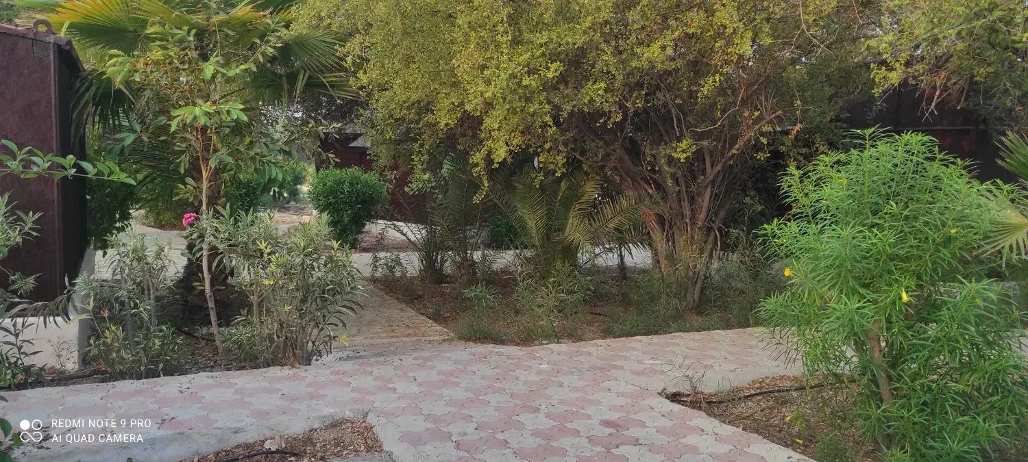 استخدام نیروی خانم|استخدام خدمات فروشگاه و رستوران|عسلویه, |دیوار