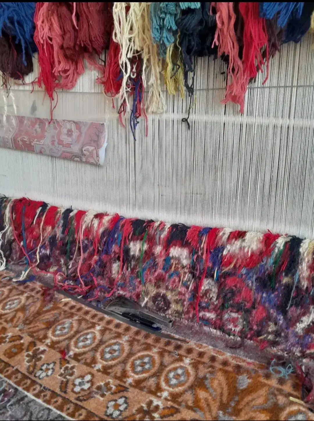 فرش هریس تاجری نیمه کاره با نخاش|فرش|تبریز, |دیوار