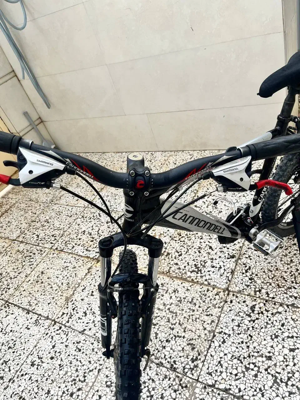 دوچرخه ۲۶|دوچرخه، اسکیت، اسکوتر|گنبد کاووس, |دیوار