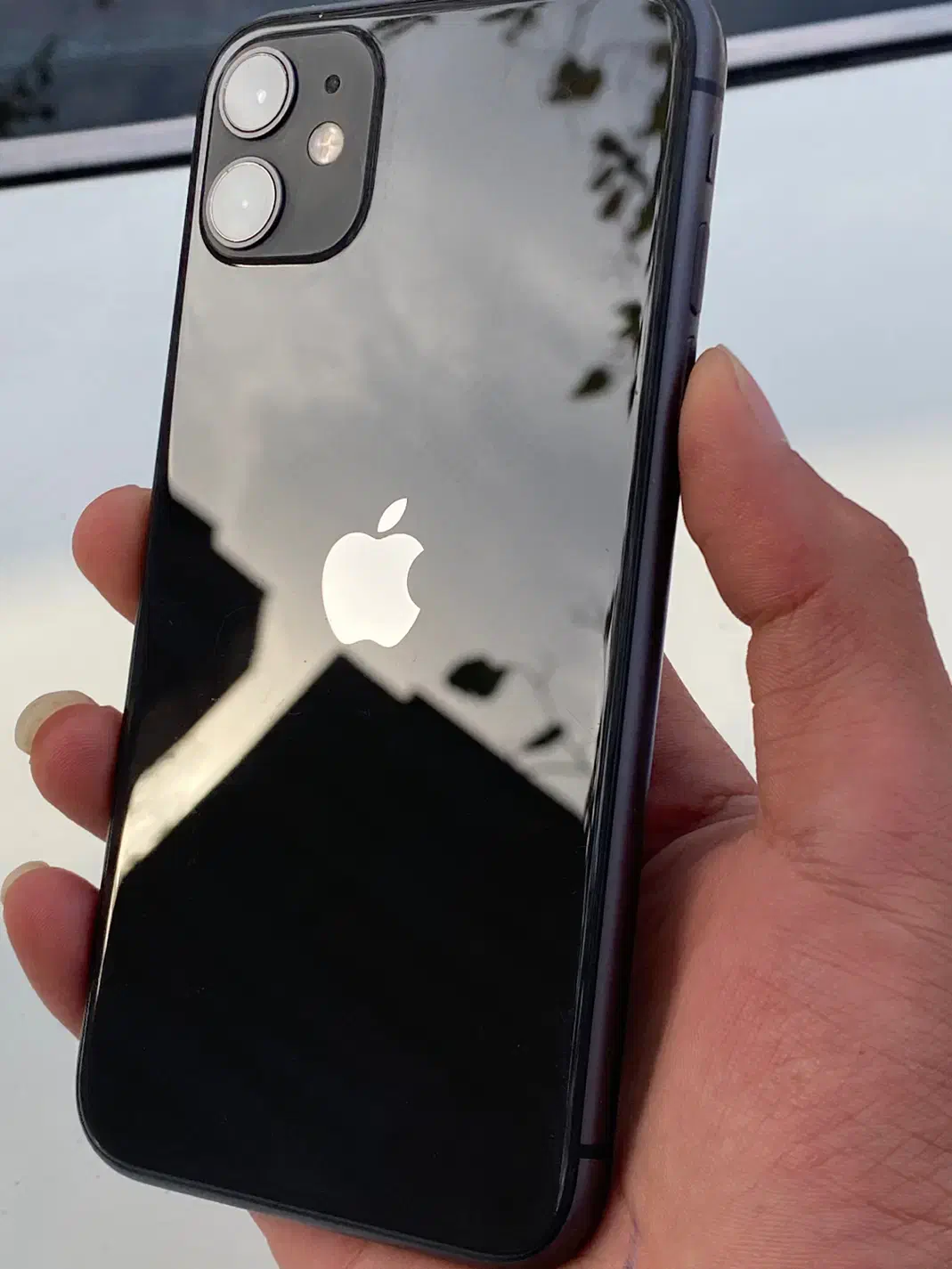iPhone 11|موبایل|تربت جام, شاد|دیوار