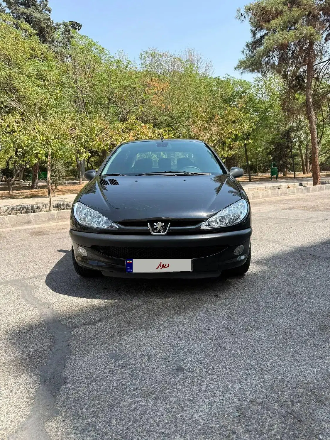 پژو 206sdv8 مدل 99|خودرو سواری و وانت|تهران, بنیهاشم|دیوار