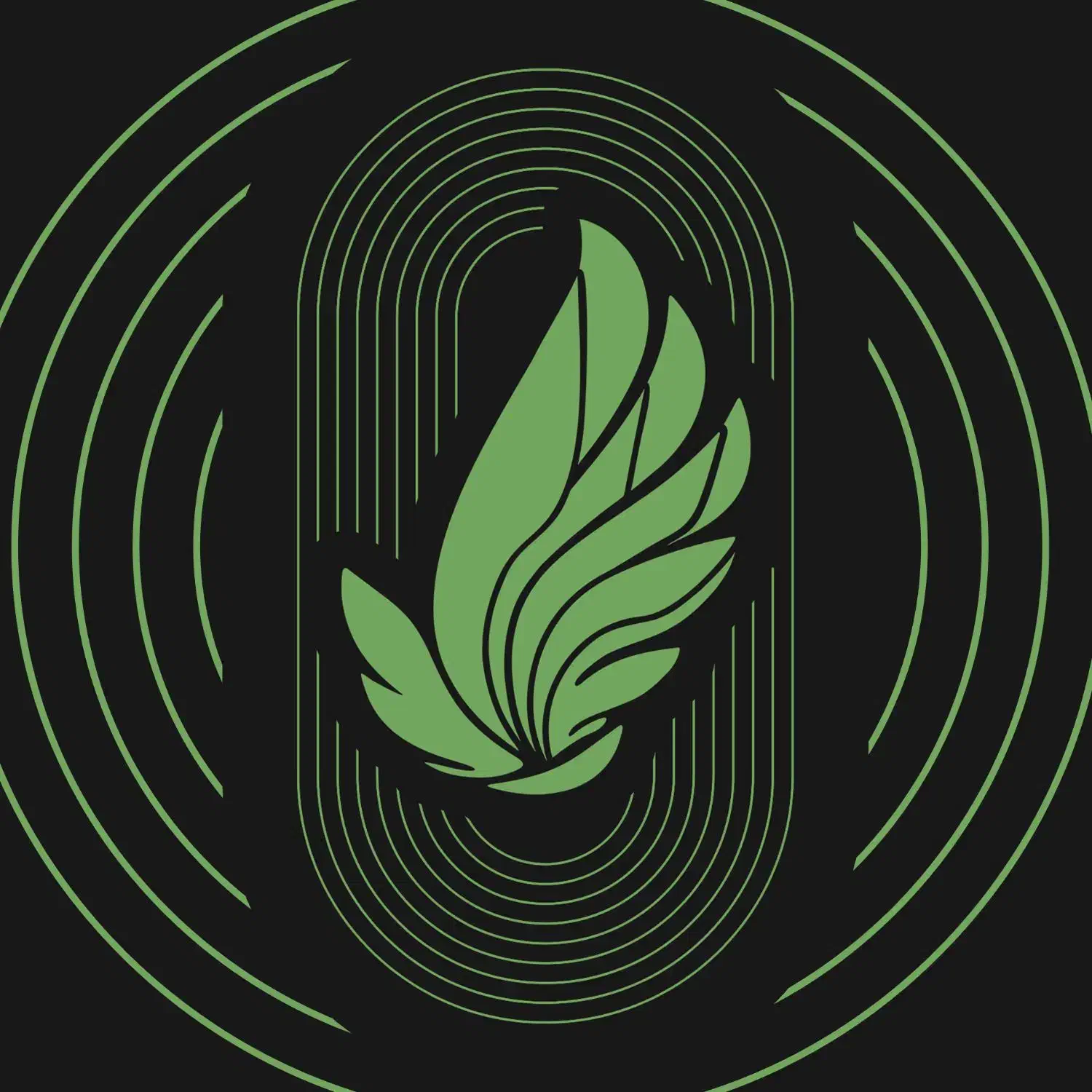 استخدام موشن‌گرافیست حرفه‌ای (حضوری)|استخدام هنری و رسانه|قم, سالاریه|دیوار